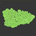 Aquatic Animals Habitat Showcasing Natural Porous Pale Grayish White Coral Stone Structure