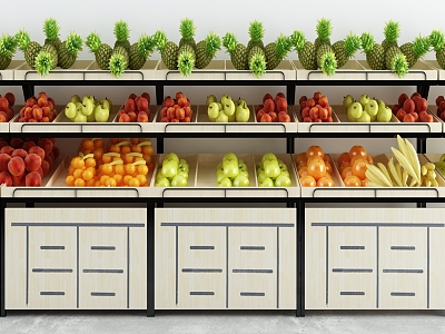 Modern shelf supermarket container model