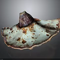 Fan Shaped Teal Fungal Plant With Red Edges And Brown Spots