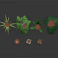 Various Potted Plants With Green Leaves And Decorative Pots For Home Decor