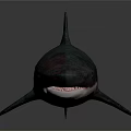 Realistic 3D Shark Model With Detailed Fins And Dark Background Texture