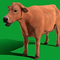 Brown Cow Standing on Green Background with Clear Shadow and Realistic Look