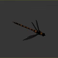 Modern Dragonfly Thin-winged Dragonfly Le Fairy Dragonfly Purple Red Dragonfly 3d model