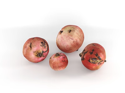 Fresh Ripe Red Pomegranates With Natural Spots Arranged On White Background 3d model Fresh Ripe Red Pomegranates With Natural Spots Arranged On White Background 3d model
