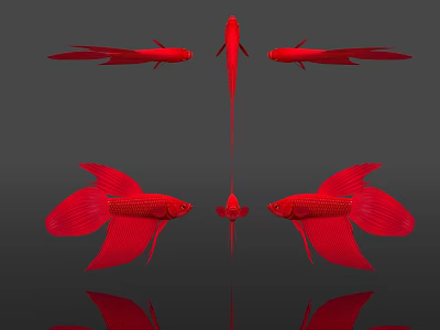 Red Fancy Aquatic Animals With Long Tail Fins Displayed In Different Angles 3d model