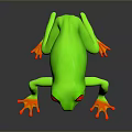 Striking Green Reptile With Red Eyes Orange Toes And Blue Yellow Body Patterns