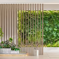 Modern Green Plant Wall With Wooden Slatted Screen And Potted Plants In Concrete Planters