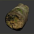 Organic Natural Wood Log Featuring Bark Moss And Textured Surface Reflection