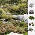 Green Shrubs Growing Among Large Rocks And Red Flowers In Natural Landscape