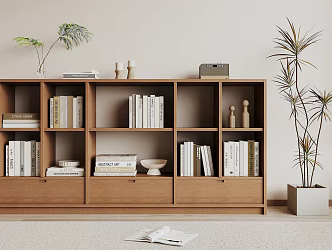 Modern low bookcase 3d model