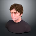 Realistic 3D Male Character Bust With Brown Hair And Dark T-Shirt