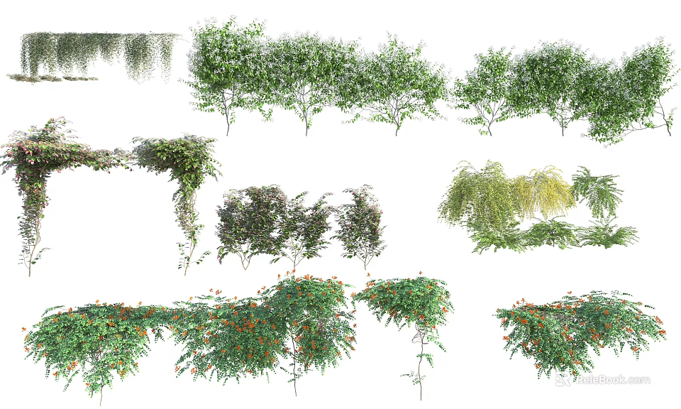 Climbing and Trailing Vines with Diverse Leaf Shapes Green Foliage and Small Blooms 3d model 