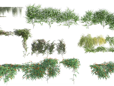 Climbing and Trailing Vines with Diverse Leaf Shapes Green Foliage and Small Blooms 3d model