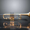 Shiny Golden Trumpet Musical Instrument as Daily Life Item for Home Decoration