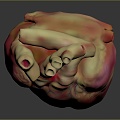 Heart Heart Human Heart Heart Anatomical Organs Human Organs Human Body 3d model