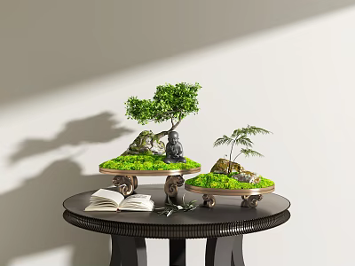 Indoor Bonsai Plants Display On Round Table With Green Moss Small Stones Open Books And Ferns 3d model