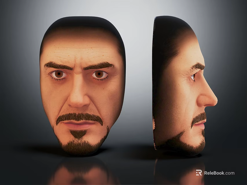 Realistic 3D Head Model Showing Front And Side View With Detailed Facial Features 3d model 