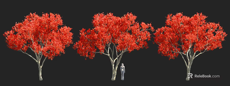 Tall Arbor With Vibrant Red Leaves And Human Figure For Scale 3d model 