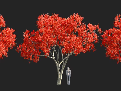 Tall Arbor With Vibrant Red Leaves And Human Figure For Scale 3d model