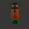 Vibrant Green Headed Beetle With Red Orange Wings And Reflective Surface