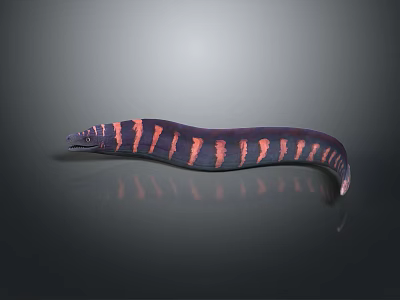 Dark Colored Moray Eel With Orange Red Stripes And Slender Curved Body 3d model