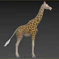 Giraffe Lizard In Natural Habitat With Green Forest And Grassland Background