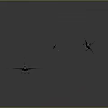 Modern Fighter Next Generation Aircraft 3d model