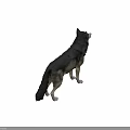 Wolf 3D Model in Standing Pose with Gray and White Fur on Dark Background