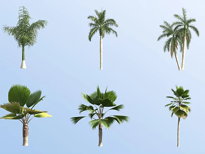 Beautiful Palm Shrub Varieties for Outdoor Garden Landscape Design 3d model