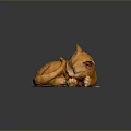 Adorable Orange Cat Curled Up Peacefully Sleeping On Soft White Mat