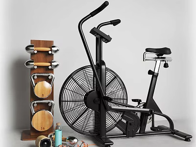 Home Gym Sports Equipment Air Bike And Wooden Dumbbell Rack With Weights 3d model