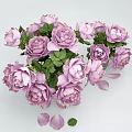 Purple Roses Arranged in Transparent Vases with Water Green Leaves and Petals