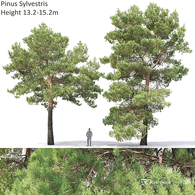 Decorative Ornaments Combination Featuring Tree Figurines And Human Figure Decoration Set 3d model 
