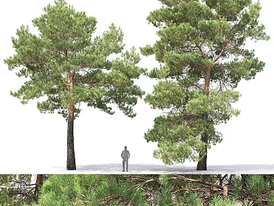 Decorative Ornaments Combination Featuring Tree Figurines And Human Figure Decoration Set 3d model