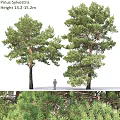 Decorative Ornaments Combination Featuring Tree Figurines And Human Figure Decoration Set