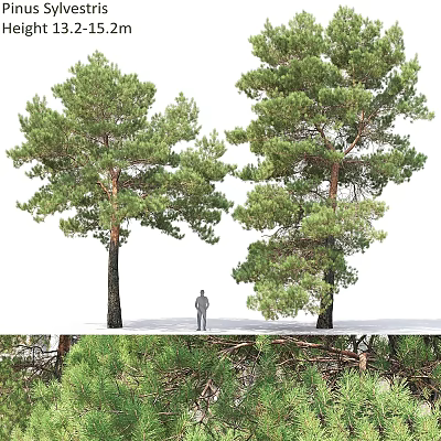 Decorative Ornaments Combination Featuring Tree Figurines And Human Figure Decoration Set 3d model