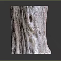 Artistic Wood Stone Decorative Container With Natural Textured Surface And Wavy Edges