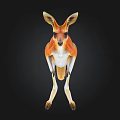 Realistic Brown And White Kangaroo 3D Model On Black Background 3d model