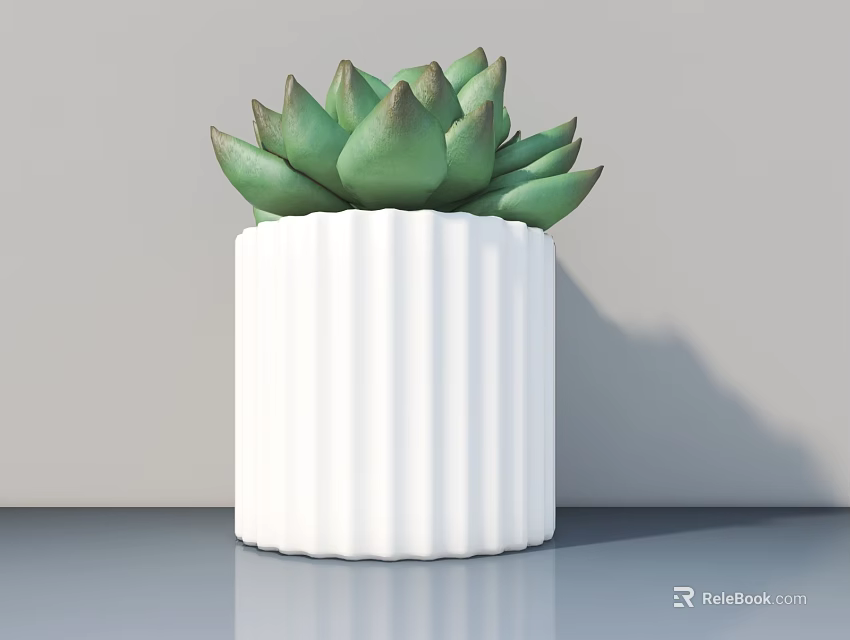 Potted Succulent Plant With Green Leaves In White Ribbed Pot For Indoor Decor 3d model 