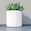 Potted Succulent Plant With Green Leaves In White Ribbed Pot For Indoor Decor