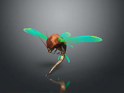 Insect with Green Transparent Wings and Brown Body on Reflective Surface 3d model