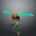 Insect with Green Transparent Wings and Brown Body on Reflective Surface