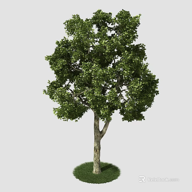 Lush Green Arbor With Dense Foliage And Sturdy Trunk On Green Grass 3d model 
