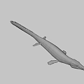 Prehistoric Marine Reptile 3D Model With Long Snout And Sharp Teeth 3d model