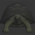 Realistic Gray Turtle Crawling With Detailed Textured Shell On Dark Background 3d model
