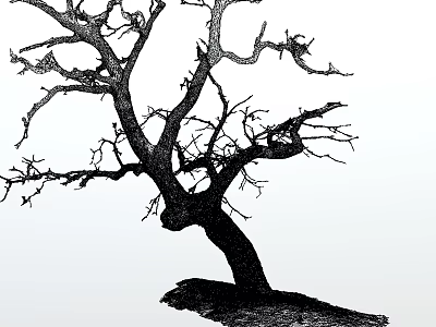 Leafless Tree With Twisted Trunk And Intricate Branches In Monochrome Illustration 3d model