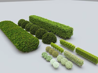 Various Shaped Pruned Shrubs for Garden Landscaping and Outdoor Design Projects 3d model