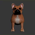 Orange French Bulldog 3D Model Standing On Dark Reflective Surface