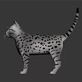 Gray White Spotted Cat With Black Stripes Striped Tail And Green Eyes On Black Surface