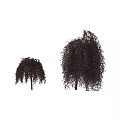 Red Shrubs with Drooping Red Foliage Two Sizes and Human Silhouette for Garden Landscaping